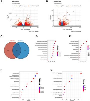 Identification of two novel ferroptosis-associated targets in -  Frontiers